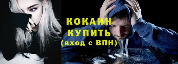 гашик Богородицк