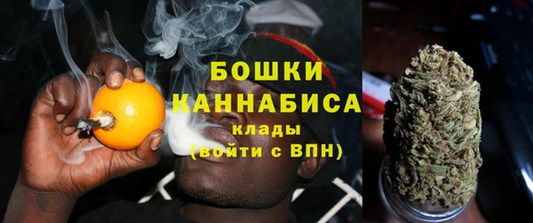 Альфа ПВП Белокуриха